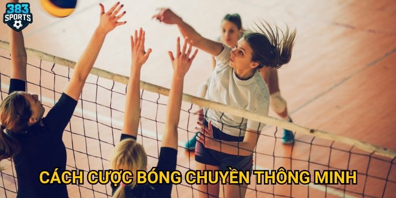 Tại sao bóng chuyền 383sports thu hút đông đảo bet thủ? 3 Cách cược bóng chuyền thông minh