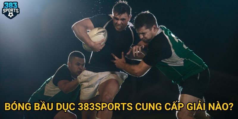 Bóng bầu dục 383sports có gì để thu hút người chơi Việt? 2 Bóng bầu dục 383sports cung cấp giải nào?
