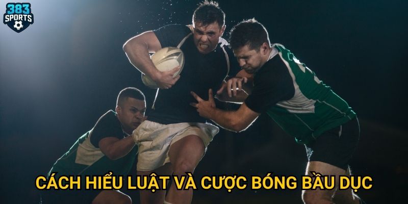 Bóng bầu dục 383sports có gì để thu hút người chơi Việt? 3 Cách hiểu luật và cược bóng bầu dục