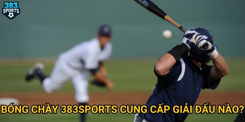 Bóng chày 383sports có điểm gì nổi bật cho người mới? 2 Bóng chày 383sports cung cấp giải đấu nào?