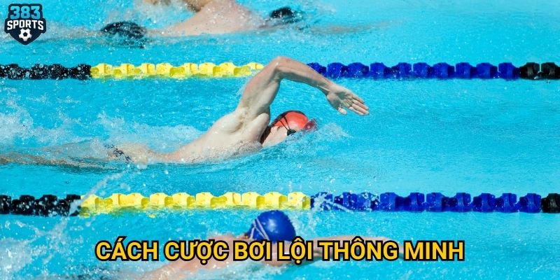 Bơi lội tại 383sports có gì đặc biệt trong mùa Olympic? 3 Cách cược bơi lội thông minh