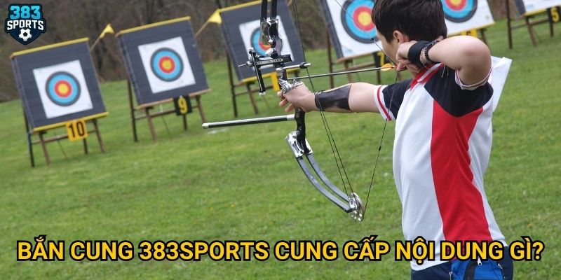 Bắn cung 383sports có phù hợp cho người yêu thể thao chính xác? 2 Bắn cung 383sports cung cấp nội dung gì?