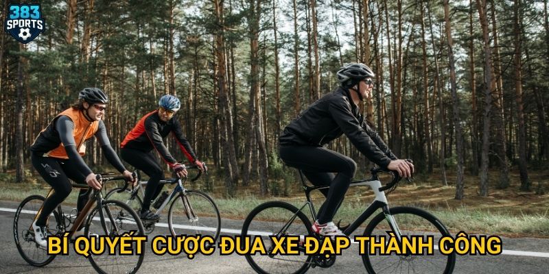 Xe đạp 383sports có phù hợp với fan Tour de France? 3 Bí quyết cược đua xe đạp thành công