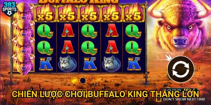Vì sao Buffalo King tại 383sports được yêu thích nhất? 3 Chiến lược chơi Buffalo King thắng lớn